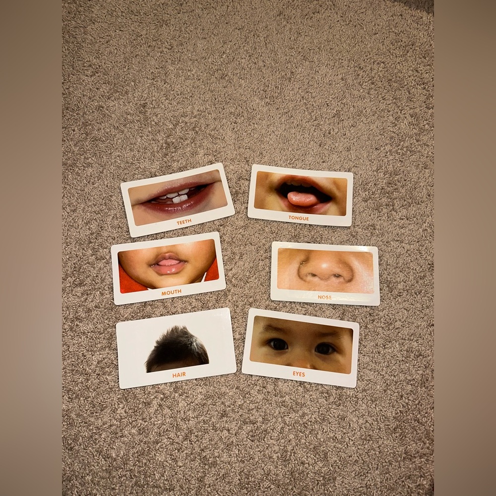 Teach My Baby Learning Kit - Picture 6 of 13